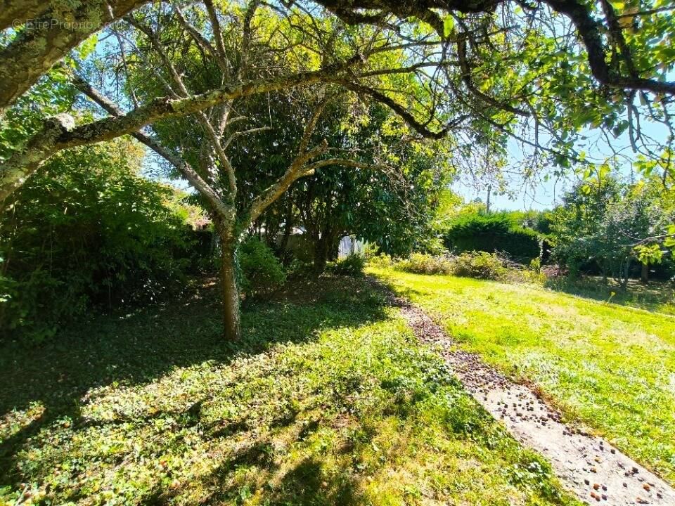 Terrain à FONTENAY-LES-BRIIS