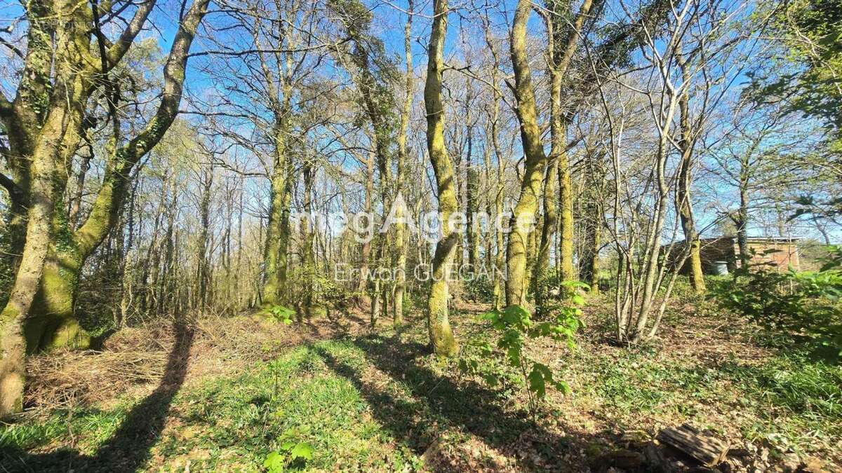 Maison à MELLIONNEC