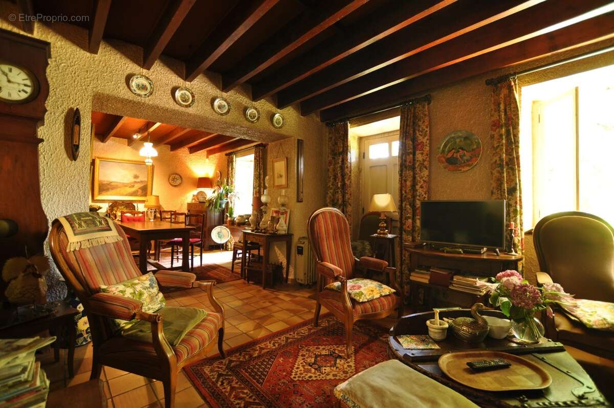 Maison de campagne dans parc arboré 3000 m². Moissieu sur Dolon 38270 - photo 13