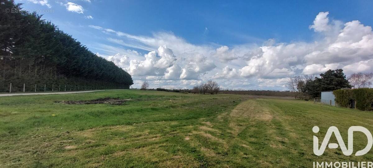 Photo 1 - Terrain à SASSAY