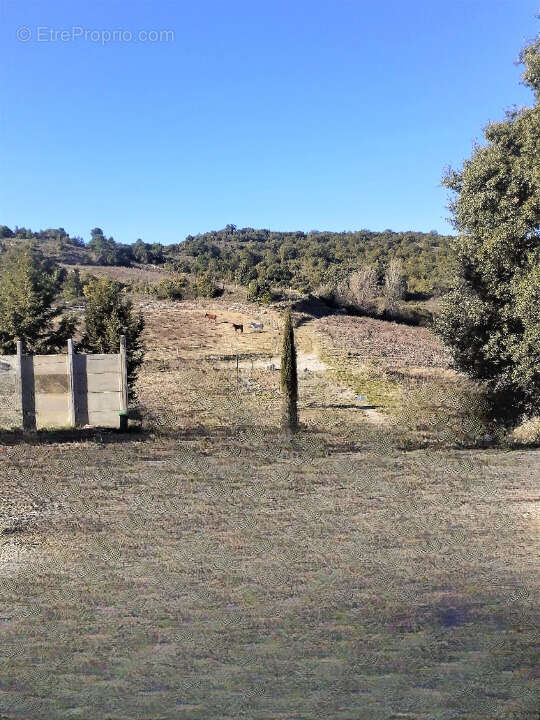 Terrain à LIMOUX