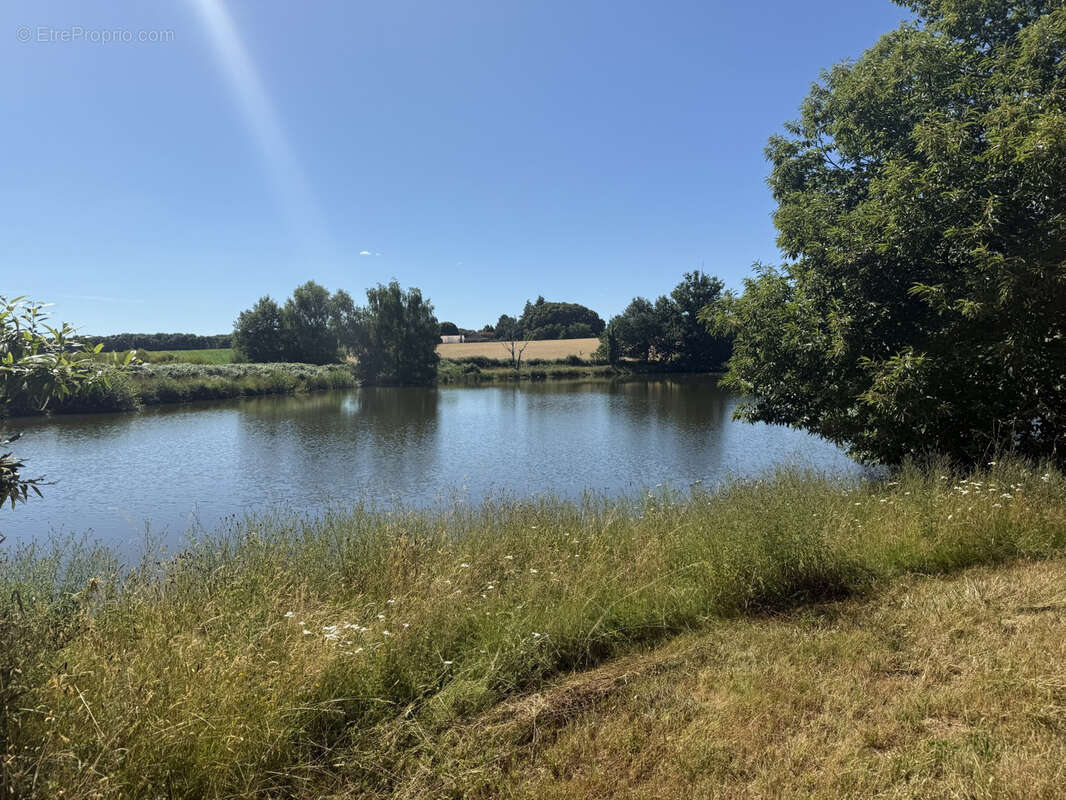 Parcelle de 8ha avec etang - photo 12
