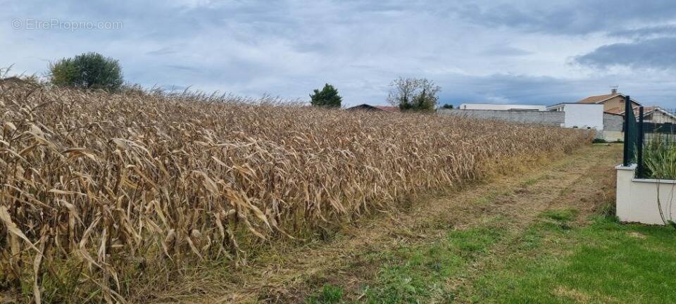 Terrain à SAINT-JEAN-DE-THURIGNEUX