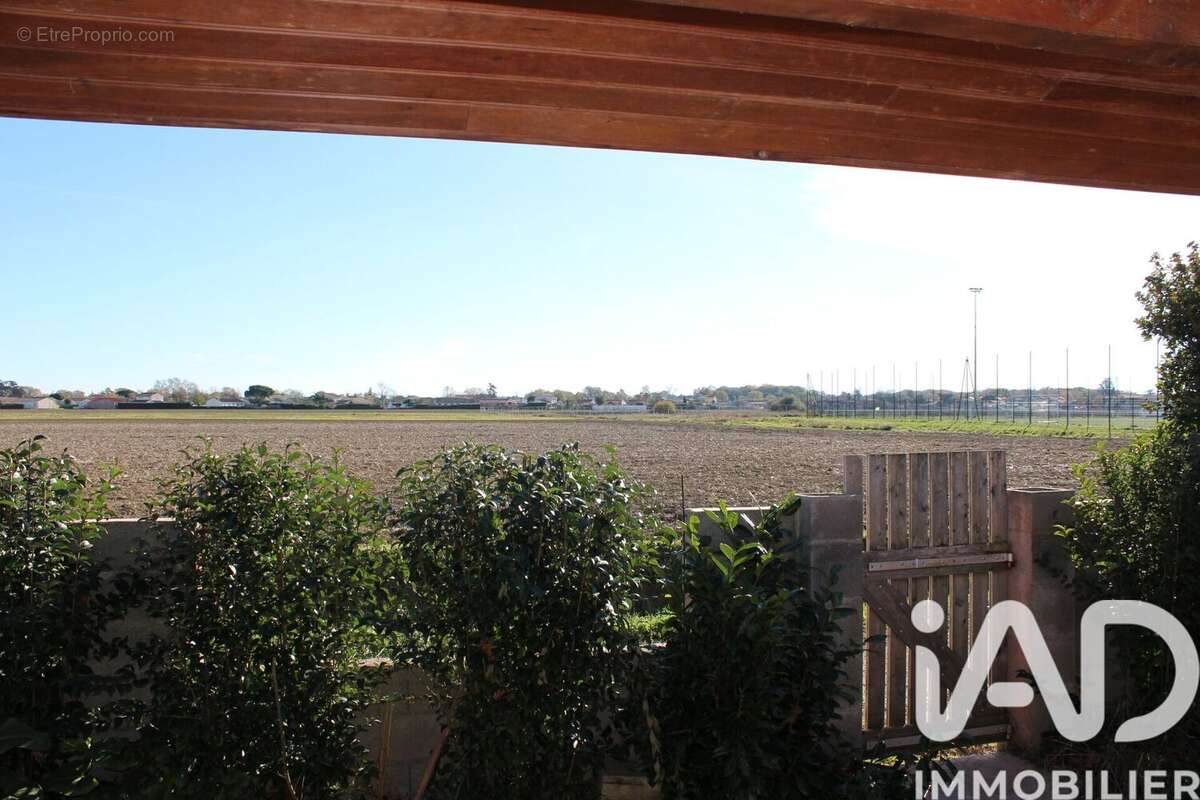 Photo 5 - Maison à CASTELGINEST