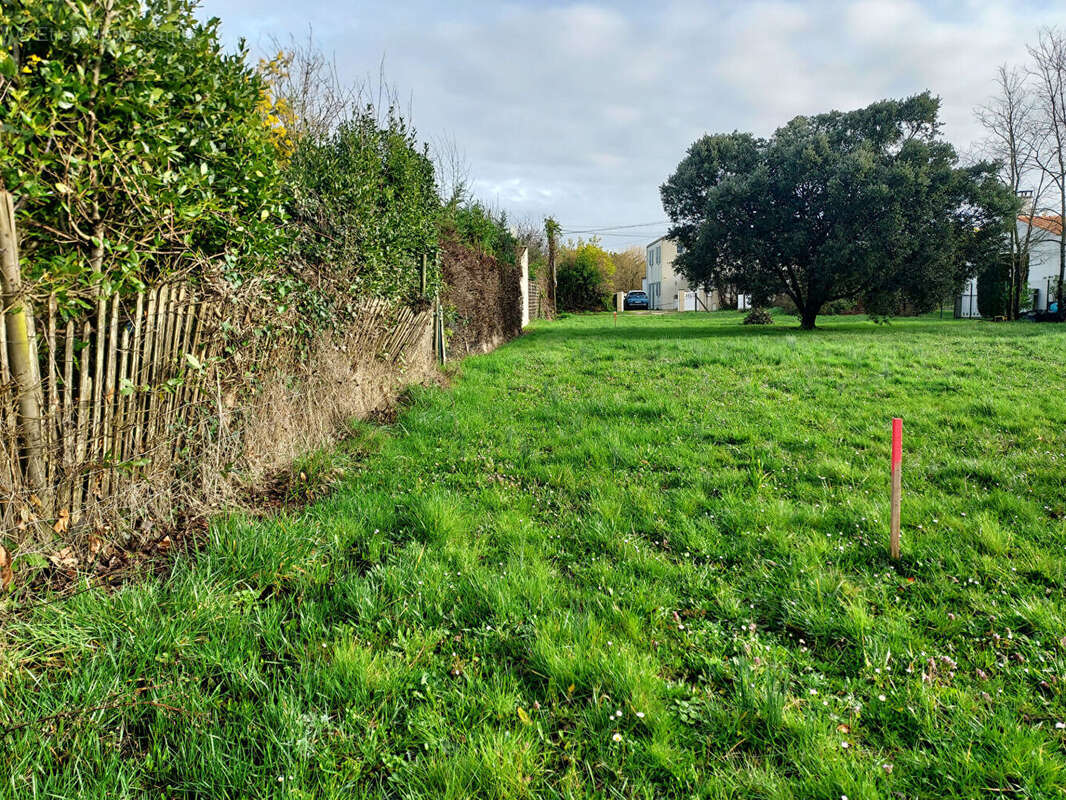 Terrain à LE CHATEAU-D'OLERON