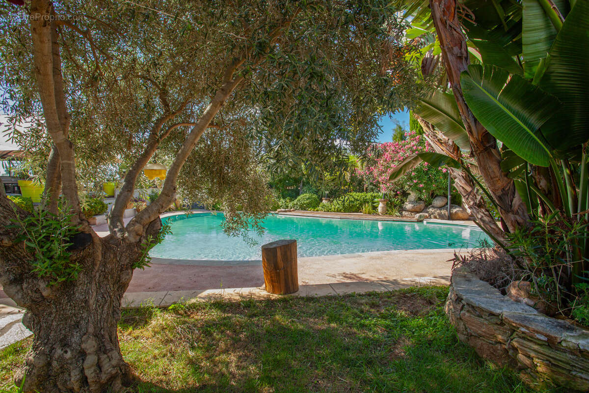 Maison à VENZOLASCA