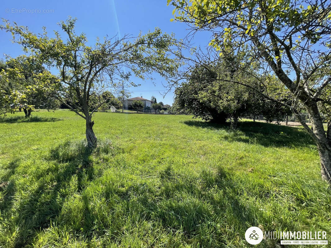 Terrain à FREJAIROLLES