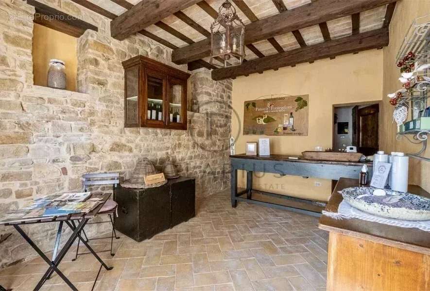 Ferme avec appartements, laboratoire de transformation et boutique à la ferme — Le Marche - photo 28