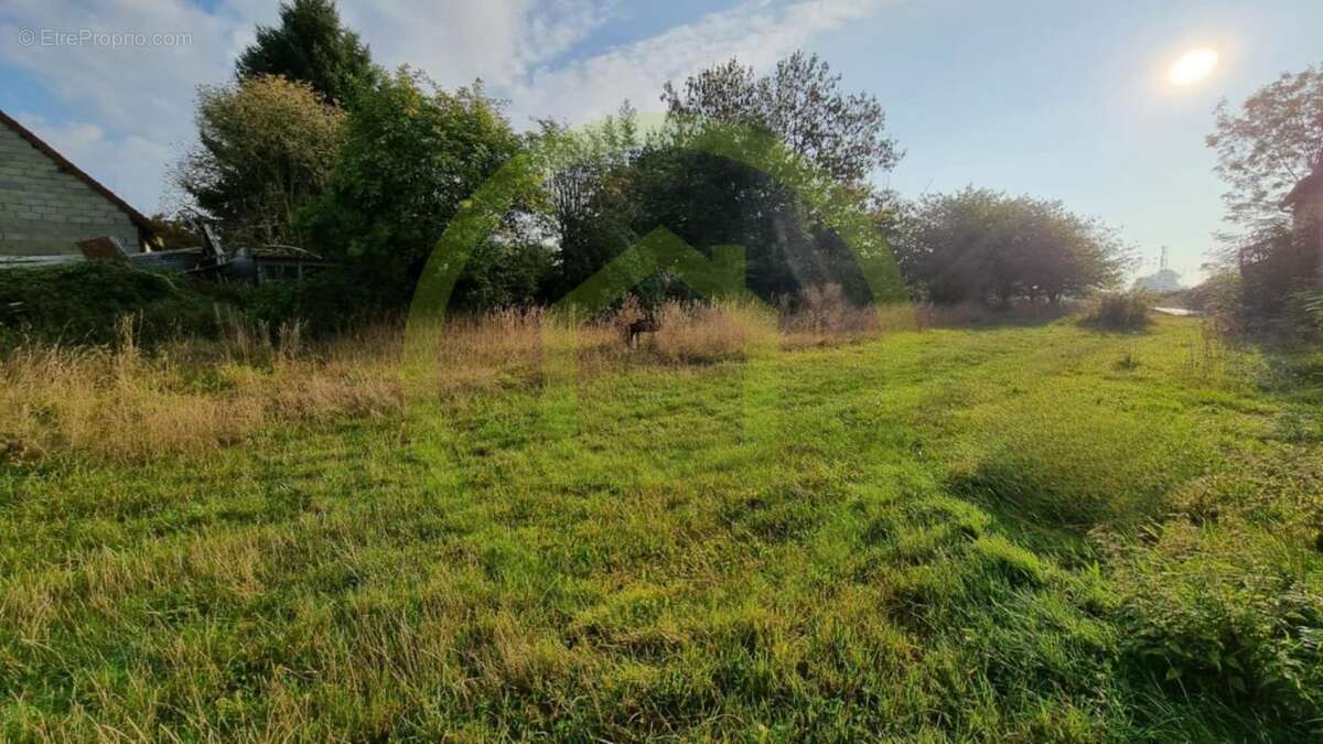 Maison à LE PLESSIER-ROZAINVILLERS