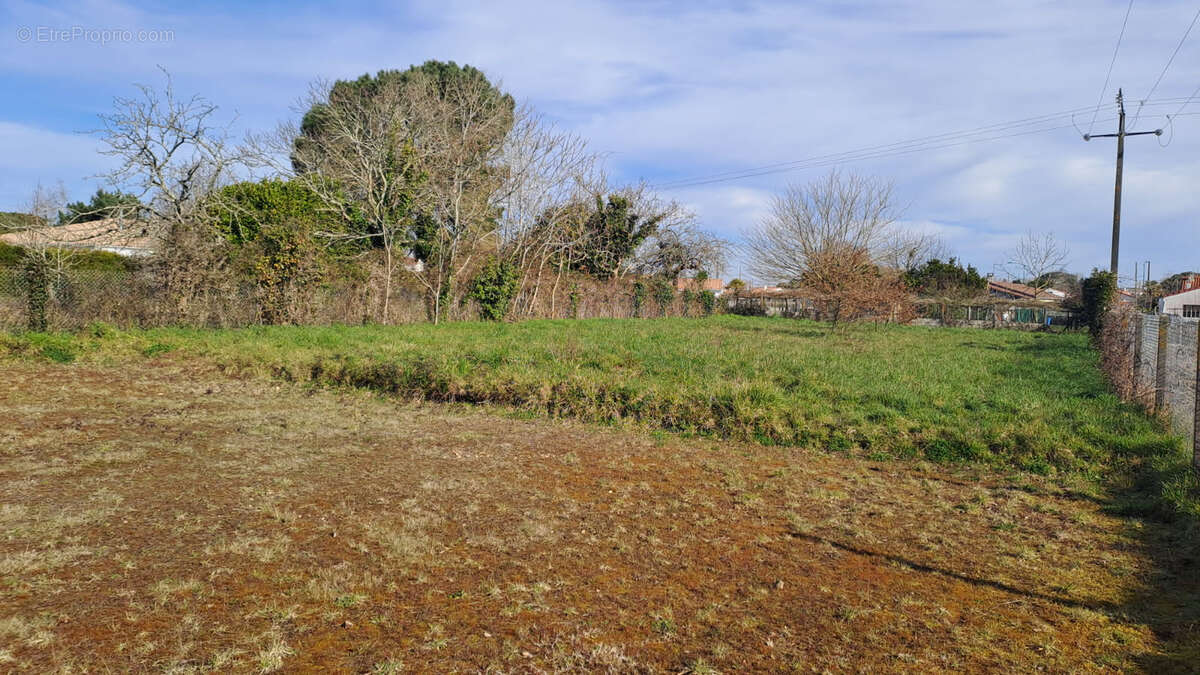 Terrain à SAINT-AUGUSTIN