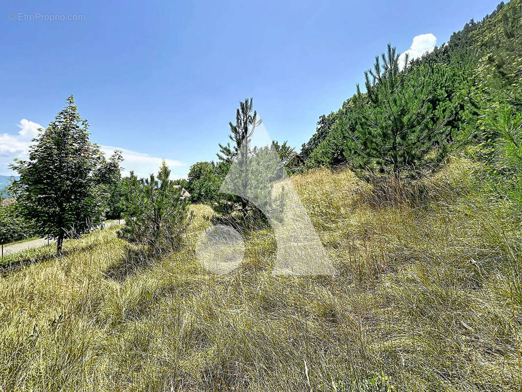 Terrain constructible de1455 m2 à La Freissinouse - photo 6