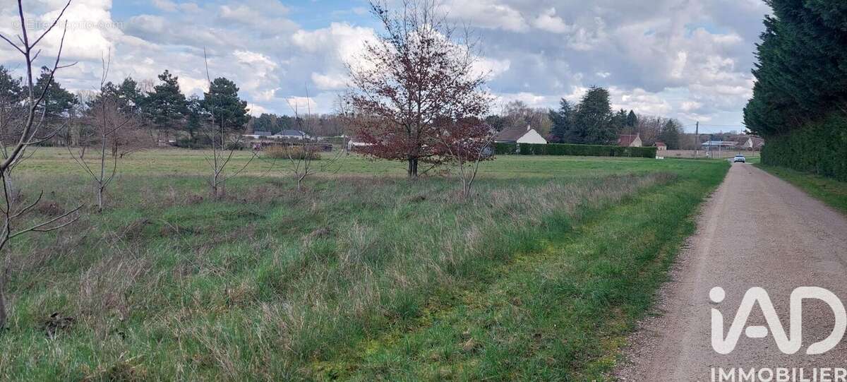 Photo 4 - Terrain à SASSAY