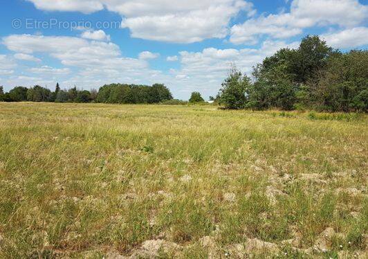 Terrain à VIENNE-EN-VAL