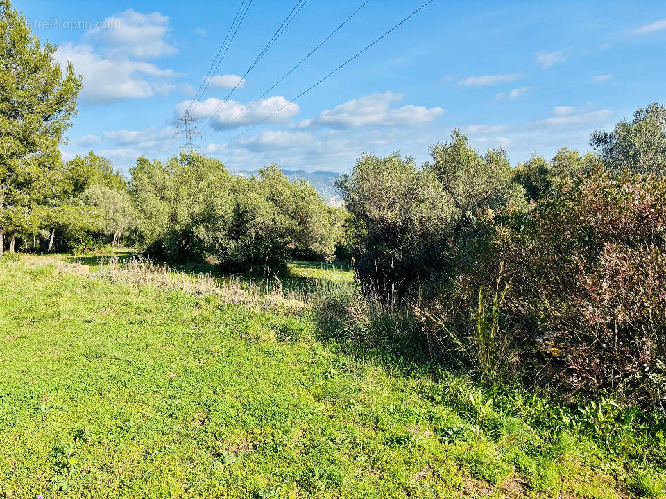 Terrain à LA SEYNE-SUR-MER
