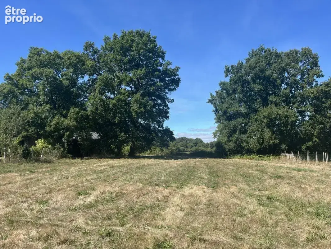 Terrain à constructible de 1 537m² – Division possible – Plessé - photo 3