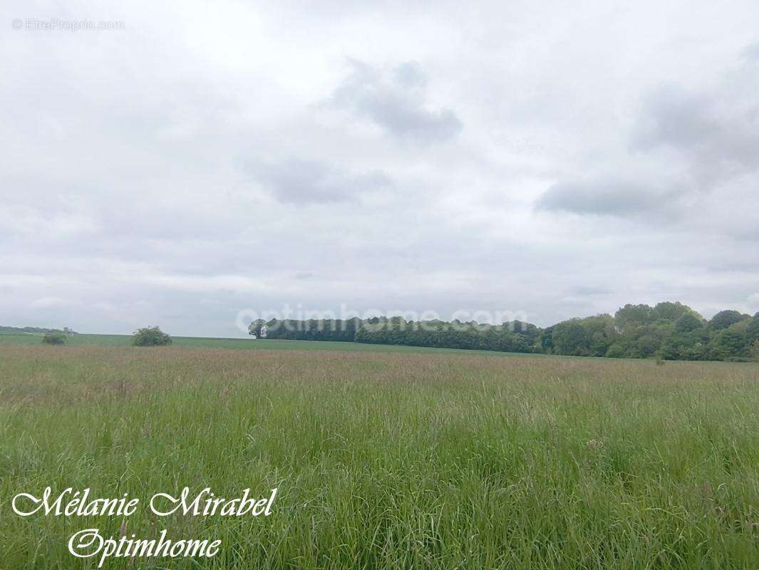 Terrain à vendre de 2 059,00 m² COURDEMANCHE (27) - photo 2