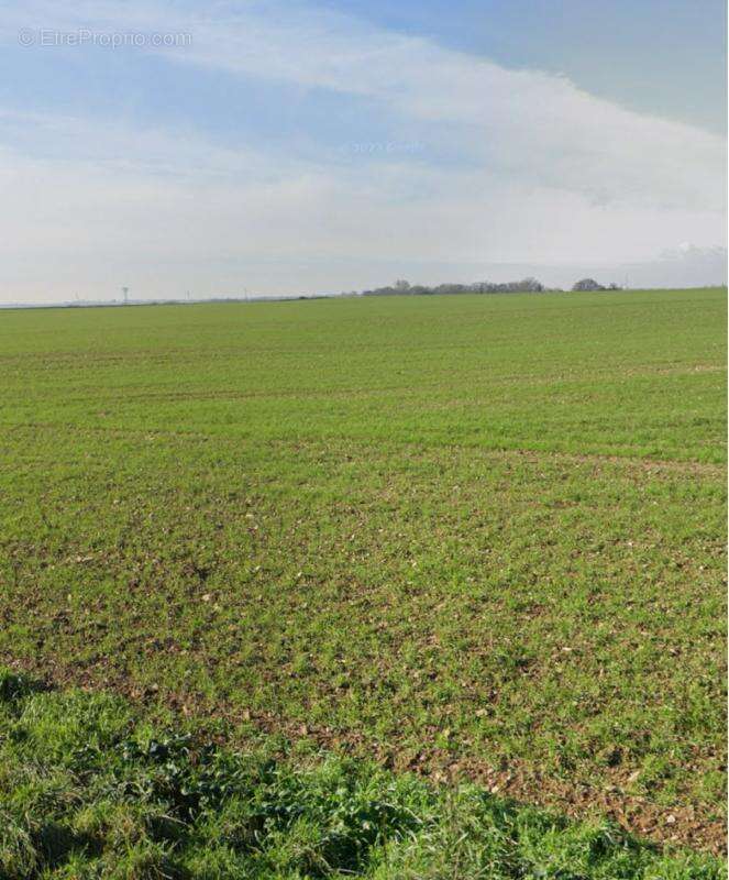 Terrain à VILLEDOUX