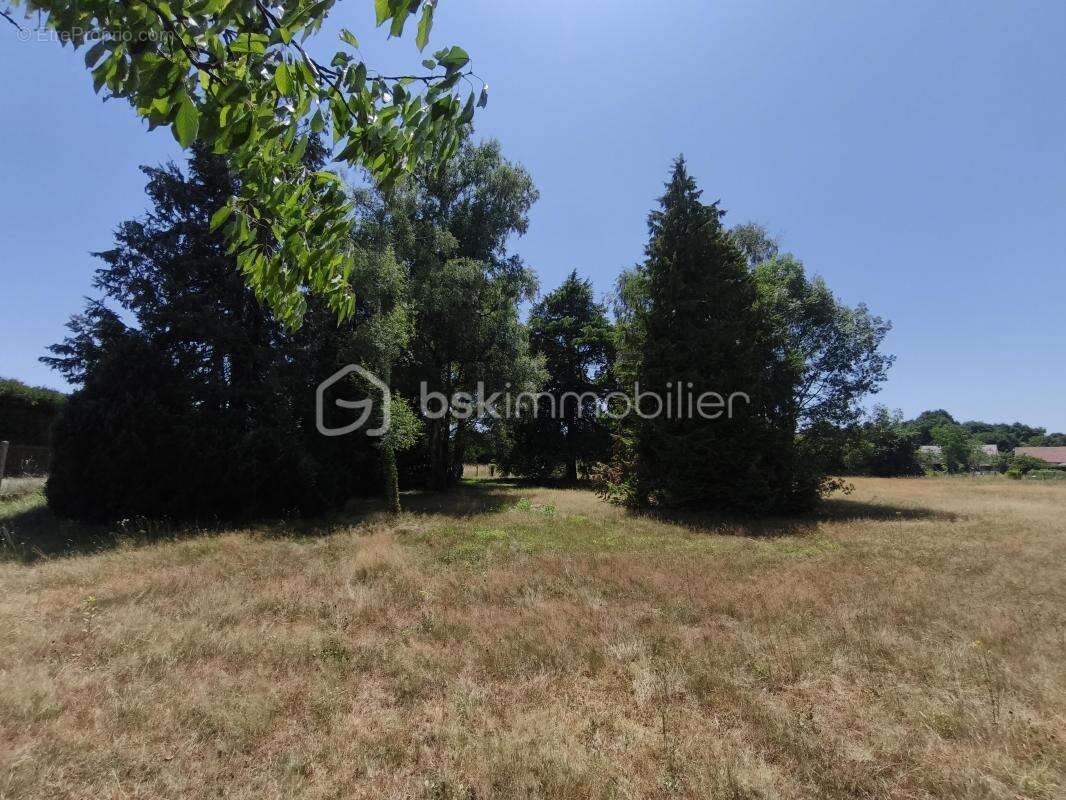 Terrain 4330 m² à Saint-Gondon  - photo 7