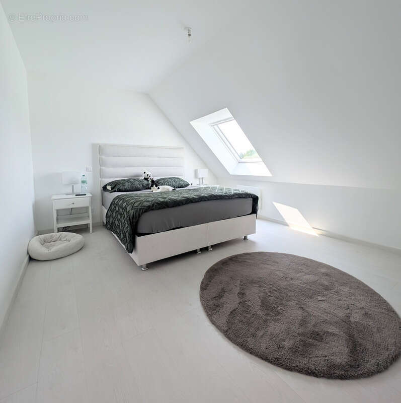 Maison à EPERLECQUES