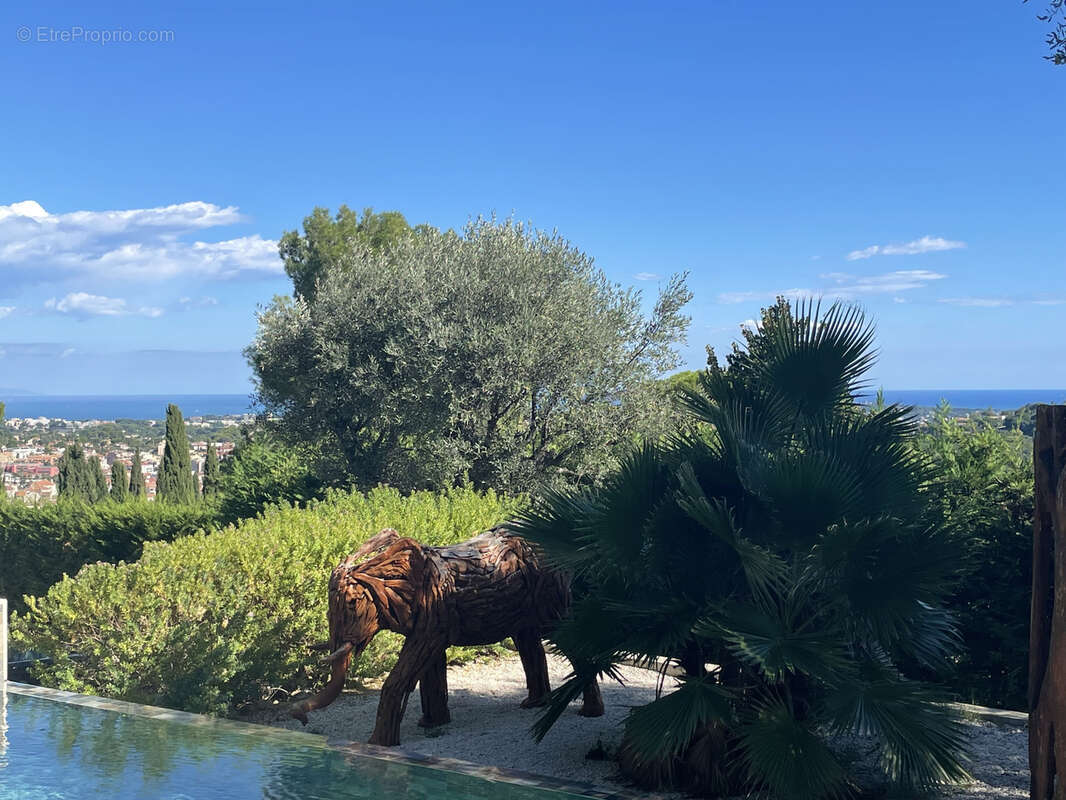 Maison à CANNES