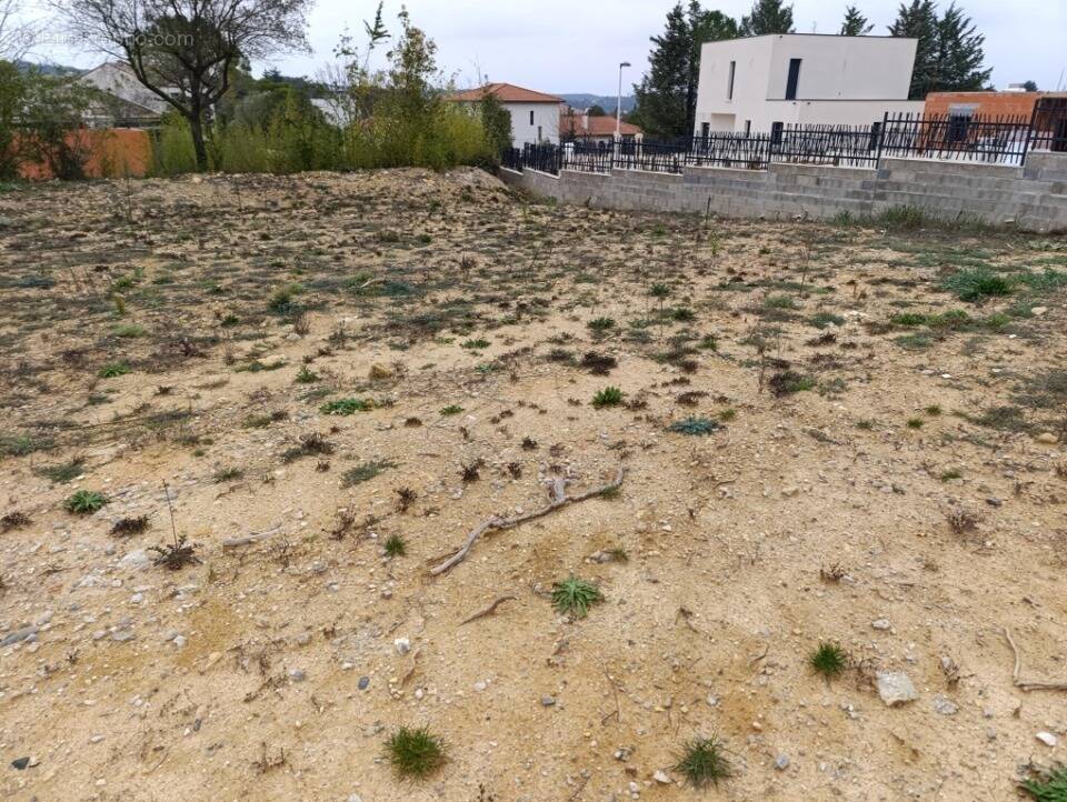 Terrain à SAINT-GELY-DU-FESC