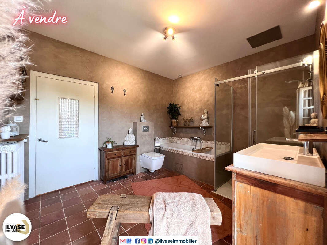 Superbe propriété de 356 m2  1100 m2  7 CH  1 dépendance  Garage/Atelier - photo 27