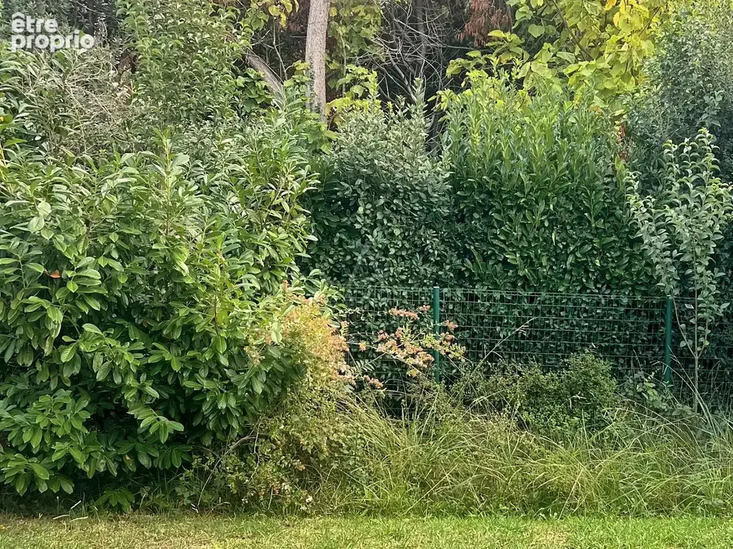 A Vendre à Saint Martin De Seignanx - maison de 2014 - photo 4
