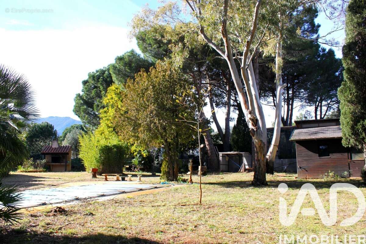 Photo 3 - Terrain à ARGELES-SUR-MER