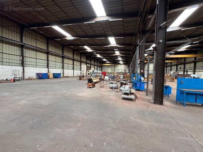 Commerce à CASTELCULIER