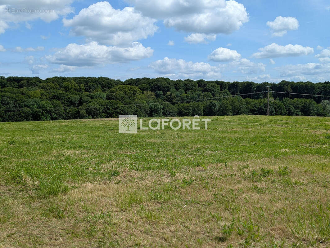 Terrain à DAMPIERRE