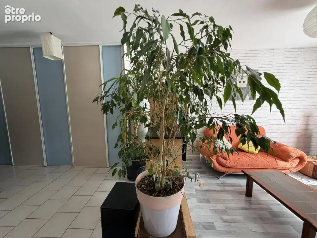 Exclusivité : Maison de plain-pied 3 chambres avec jardin et - photo 6