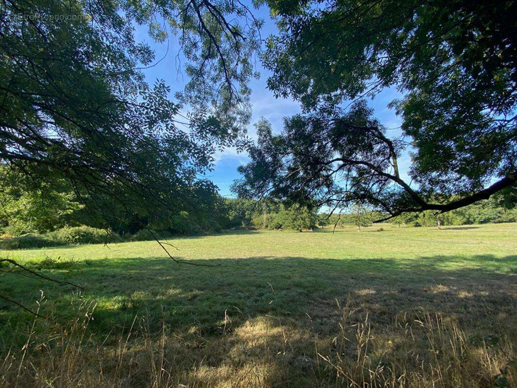 Maison à PORT-SAINT-PERE