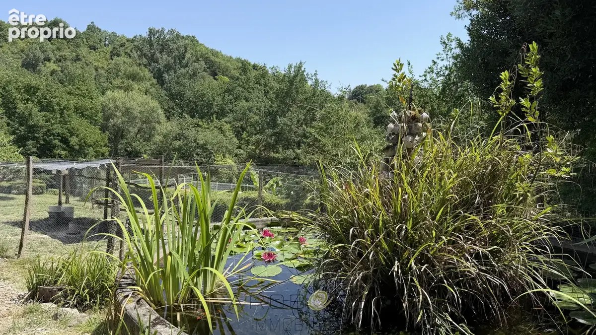Propriété de caractère avec activité de gîtes sur  environ 10 hectares . - photo 11