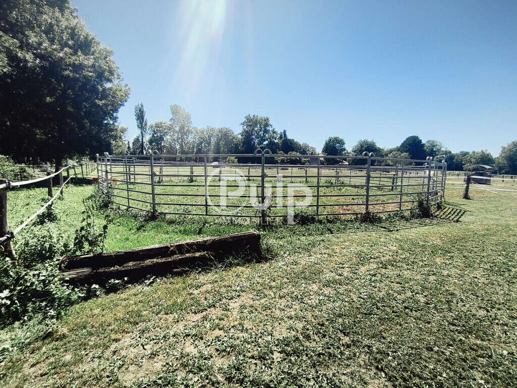 Propriété Equestre Bernay Saint Martin - photo 10