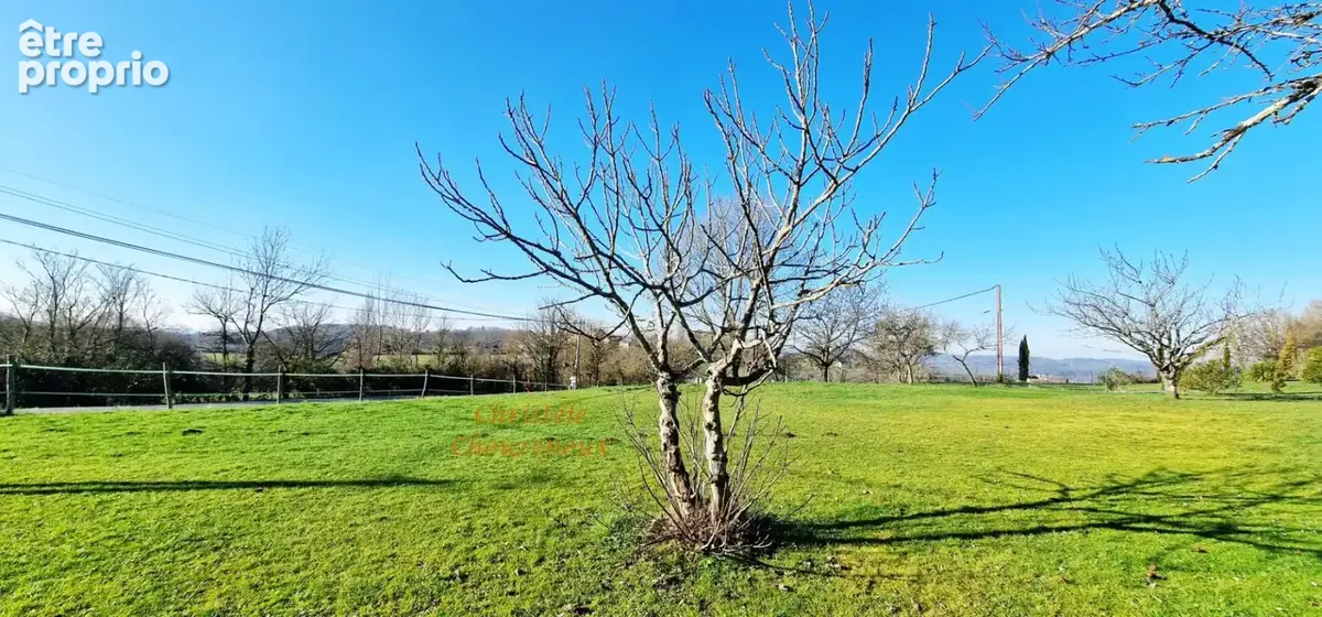24120 Terrasson : Maison  de plain pieds  sur 4385m² de terrain - photo 13