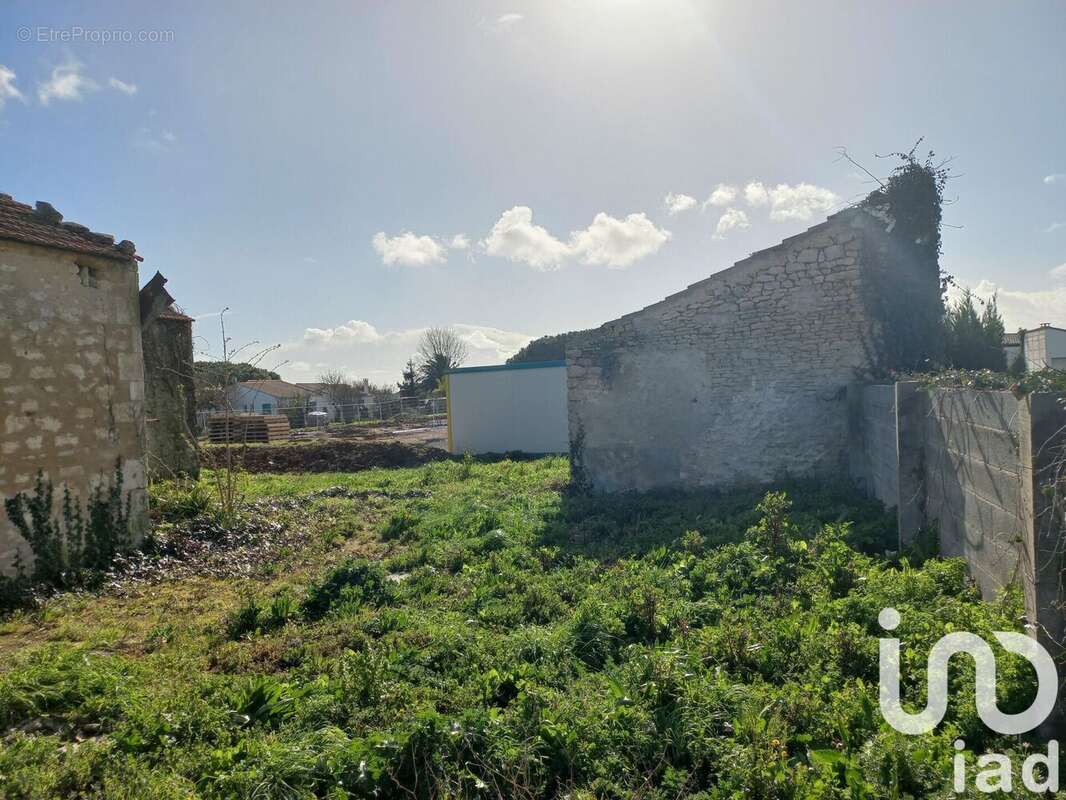 Photo 5 - Maison à SAINT-GEORGES-D'OLERON