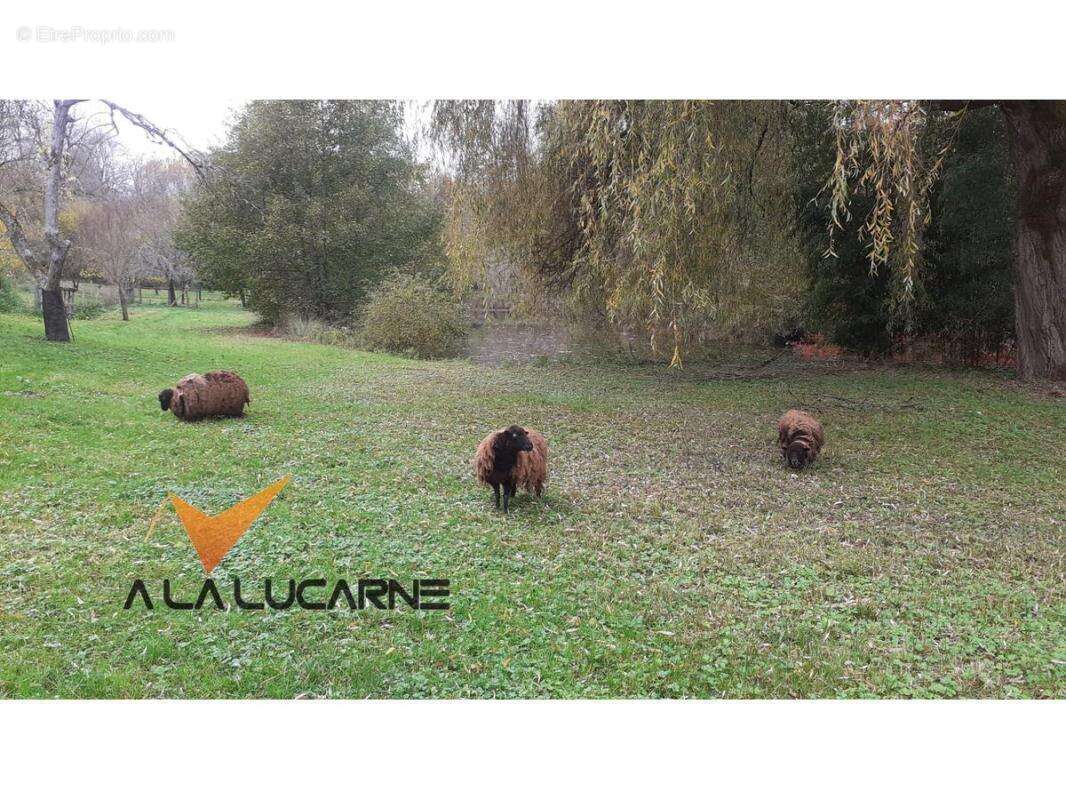 Maison à LA BACHELLERIE