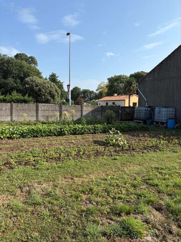 Terrain à SAINT-VIAUD
