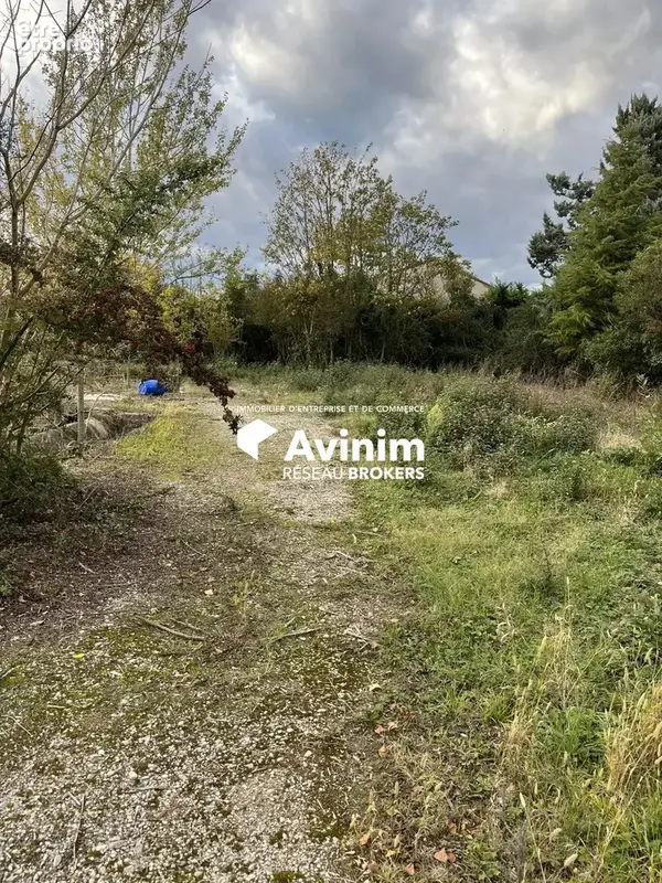 Commerce 932 m² à vendre à Livron-Sur-Drome (26250) - photo 8
