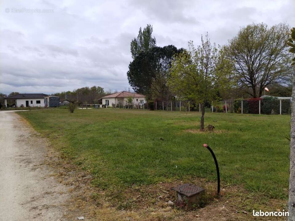 Terrain 1000 m² à Albias  - photo 2