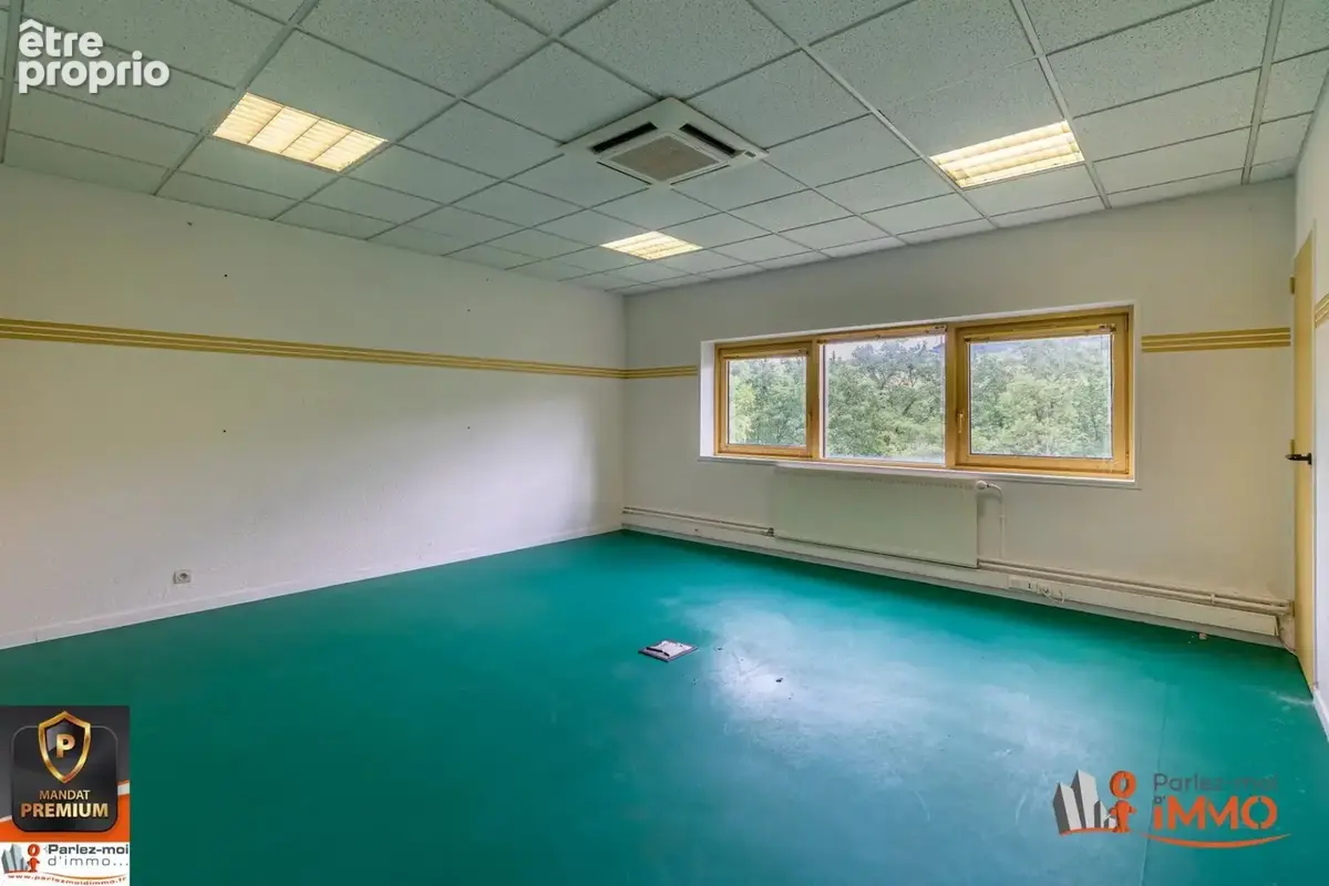 Immobilier Professionnel à vendre Brussieu - photo 10