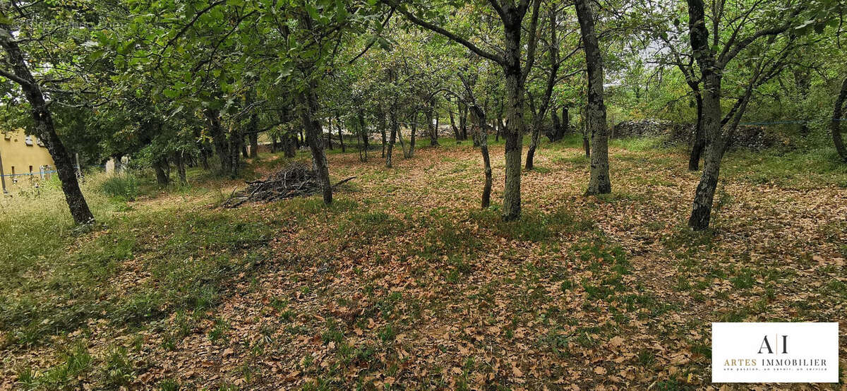 Terrain à COUX