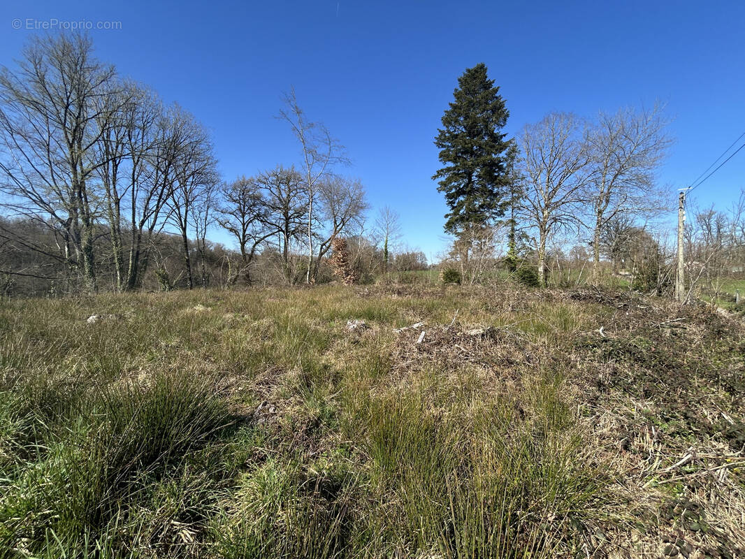 Terrain à BOISSEUIL