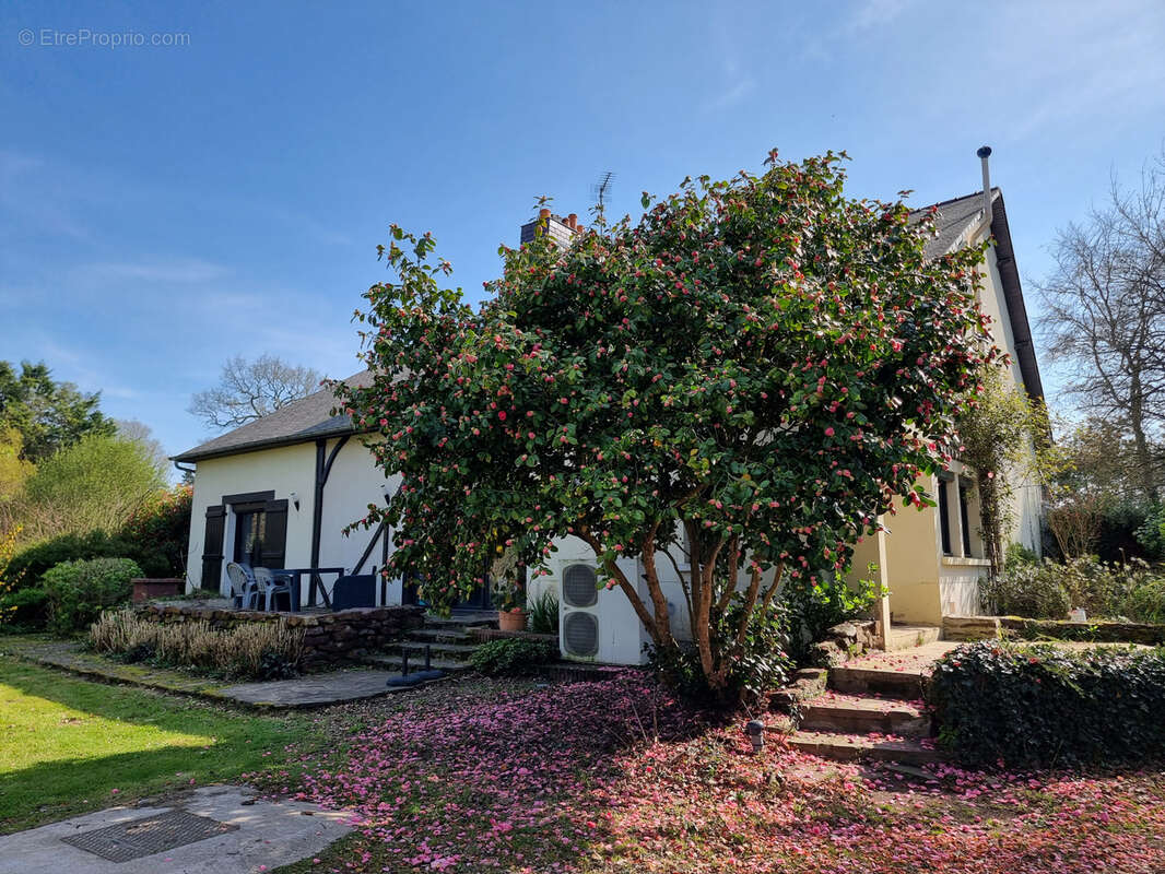 Maison à VERN-SUR-SEICHE