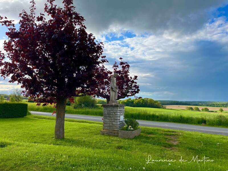 Terrain à MONTJAVOULT