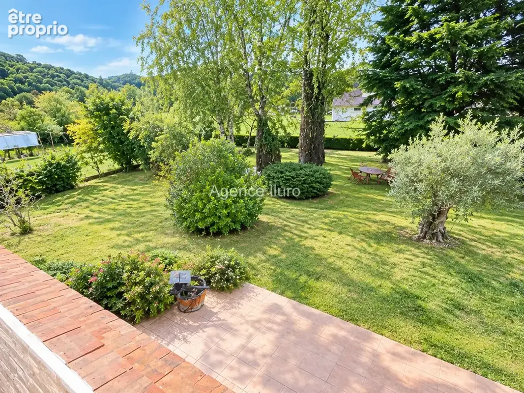 Photo jardin modifiée