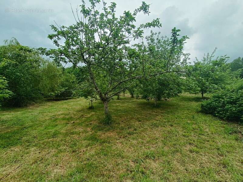  Écolieu en centre bourg - 2,4 ha - Scaër - photo 15