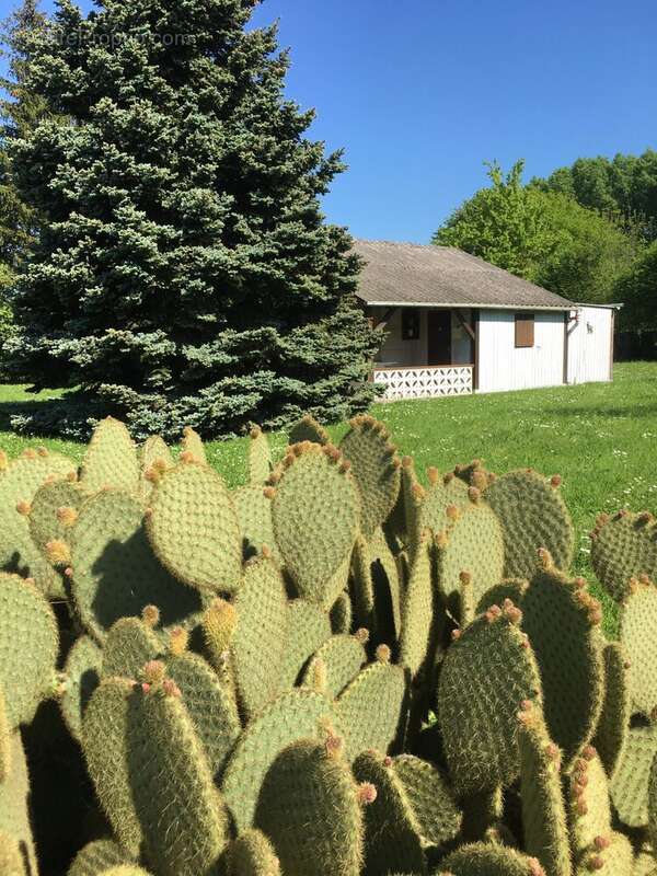 Terrain à SAINT-MAIXENT