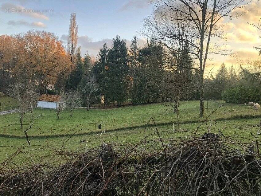 Terrain à CHAMPCEVINEL