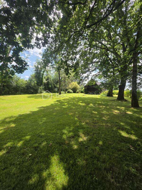 Maison de 145m2 avec parc paysager - photo 26